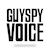 GuySPY Voice image
